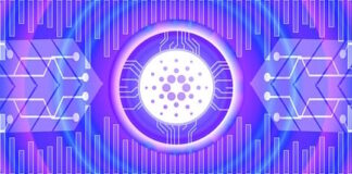 Czy Cardano dogoni Ethereum?