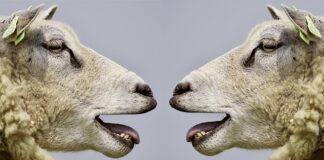 Jaka powinna być komunikacja?