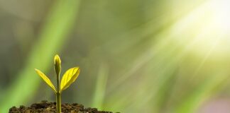 Kto jest odpowiedzialny za rozwój zawodowy?