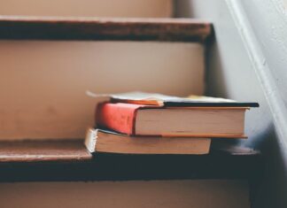 Czy można iść na studia po podstawówce?